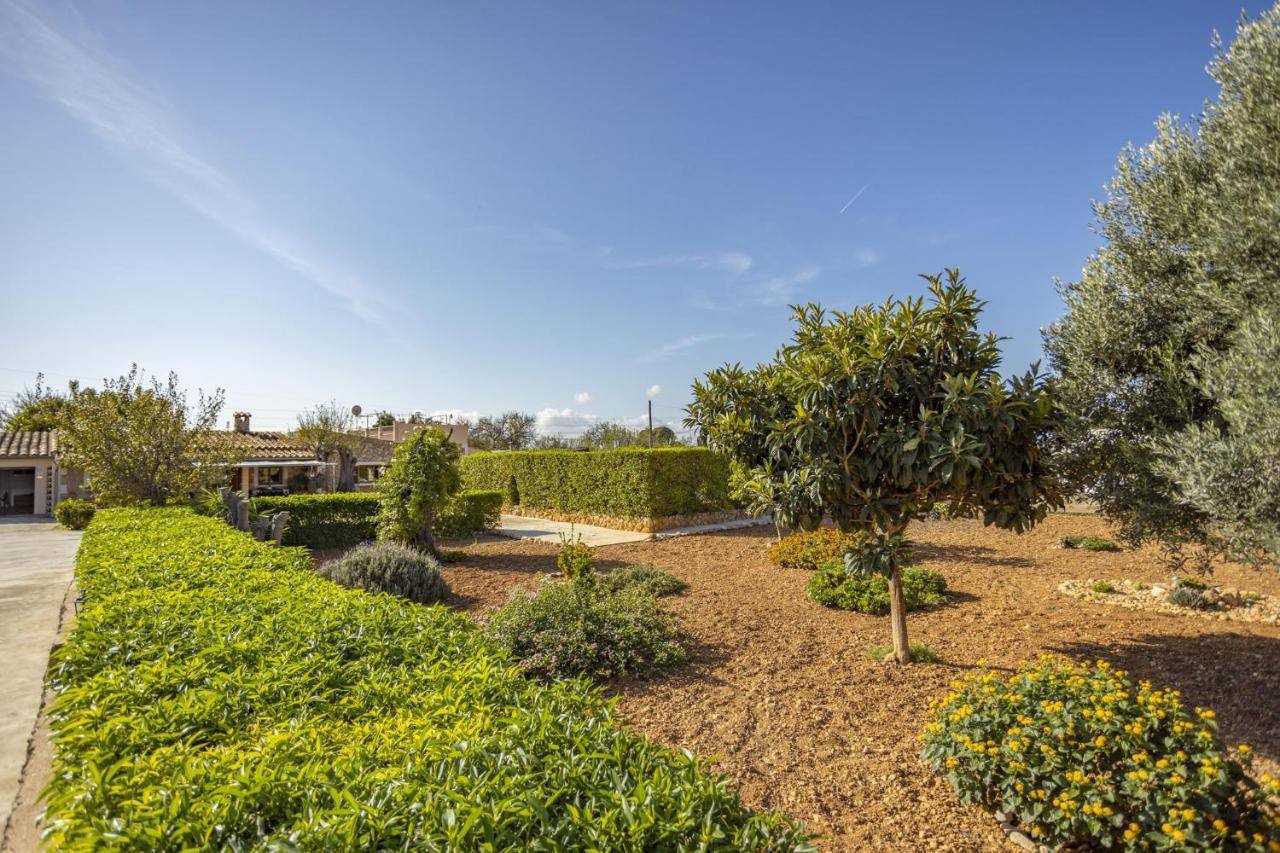 Tomeu 454 Country house *